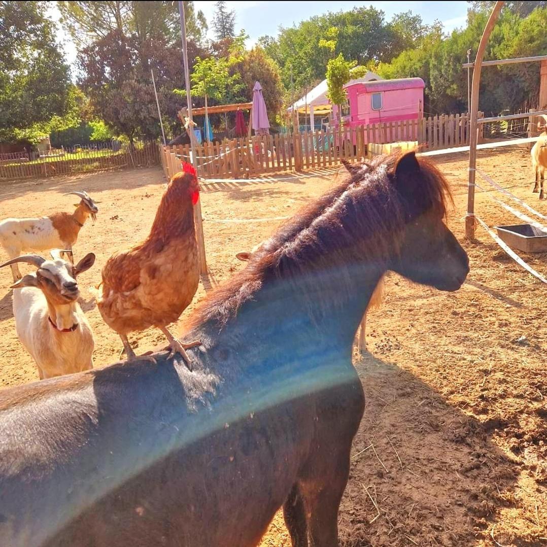 Sejour A La Ferme Vila Jouques Exterior foto